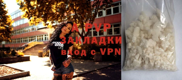 прущие грибы Белоозёрский