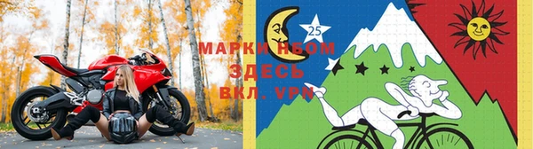 эйфоретик Сосновка